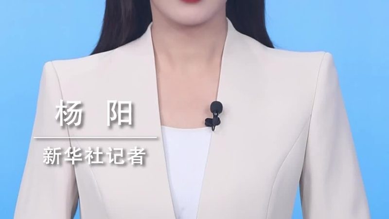 数据定制服务：价格背后的考量因素